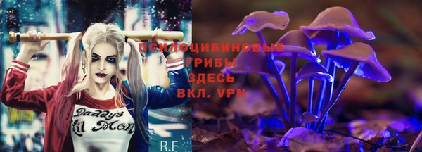 марки lsd Заводоуковск